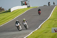 anglesey;brands-hatch;cadwell-park;croft;donington-park;enduro-digital-images;event-digital-images;eventdigitalimages;mallory;no-limits;oulton-park;peter-wileman-photography;racing-digital-images;silverstone;snetterton;trackday-digital-images;trackday-photos;vmcc-banbury-run;welsh-2-day-enduro